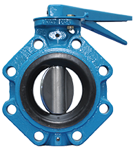 Authorised Flowserve Butterfly Valve Dealer Ahmedabad
