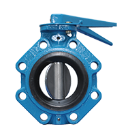 Butterfly Valve Supplier In Gujarat