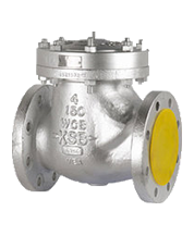 KSB Check Valve