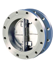 Authorised Dual Plate Check Valve Dealer Ahmedabad